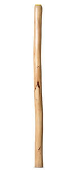 Medium Size Natural Finish Didgeridoo (TW1705)